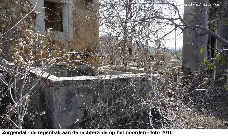 29. Zorgendal regenbak op het noorden 2010